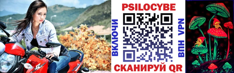 Галлюциногенные грибы Psilocybine cubensis  Старица 
